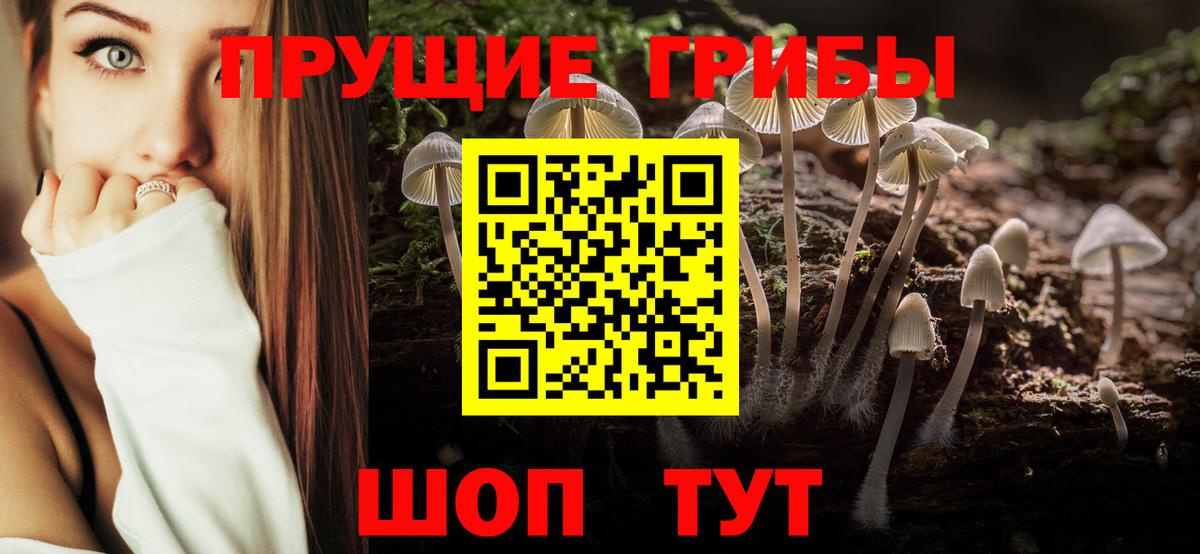 Псилоцибиновые грибы мухоморы  Галлюциногенные грибы Psilocybine cubensis  Алушта  Вход с VPN 